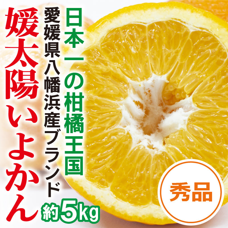 ※今季販売終了※愛媛県産「伊予柑」　媛太陽いよかん〈秀品〉約5kg　※発送は１月中旬～２月中旬予定