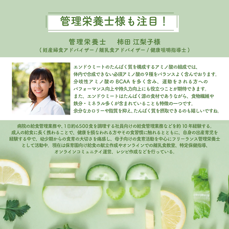 ヘルシーなエンドウ豆の植物肉★エンドウミート  100 g ×3袋【代替肉　植物肉　ヴィーガン　ベジタリアン】【アレルギー表示不要】