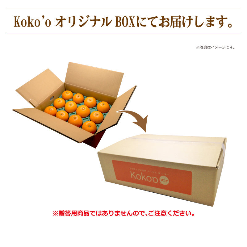 【送料無料】高級ブランドかんきつ「媛太陽まどんな」〈家庭用・優品〉約3kg