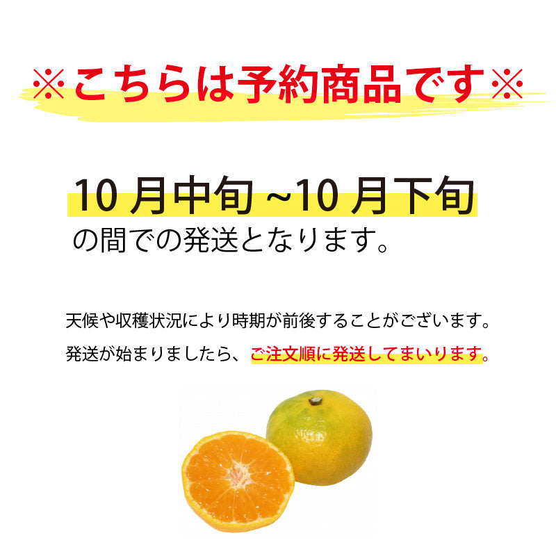 ※2025年9月頃より予約開始予定※愛媛県産「極早生みかん」〈秀品〉約5kg