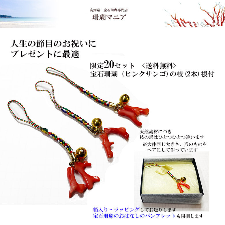 ピンクサンゴ枝根付　5色の根付紐　プレゼントに最適(小箱入りラッピング）20セット限定　送料無料　