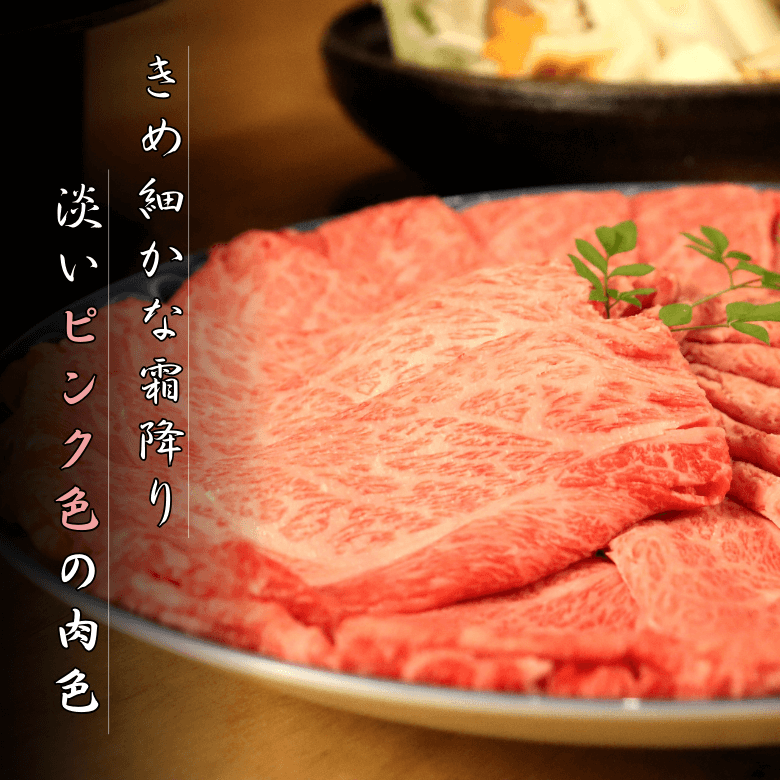 【特選】飛騨牛ロース・すきやき用（300ｇ入り）《冷凍便》【精肉・肉加工品】