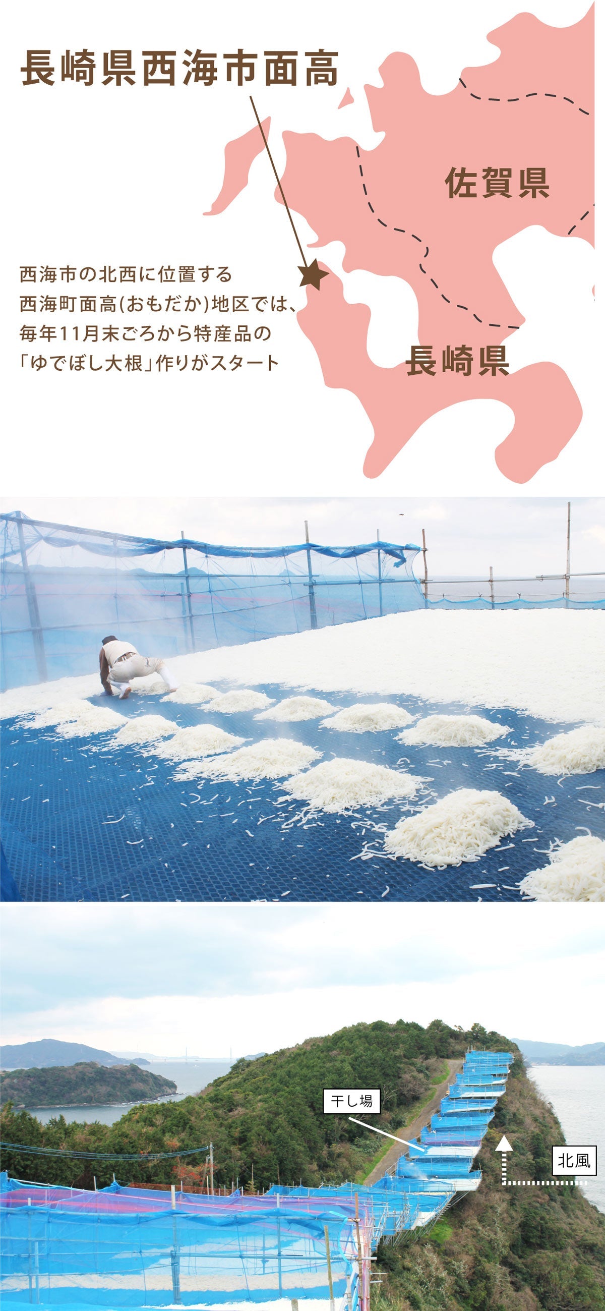 【他の商品にちょい足しで送料無料】栄養たっぷり！ゆで干し大根（40ｇ）＜長崎県面高産＞