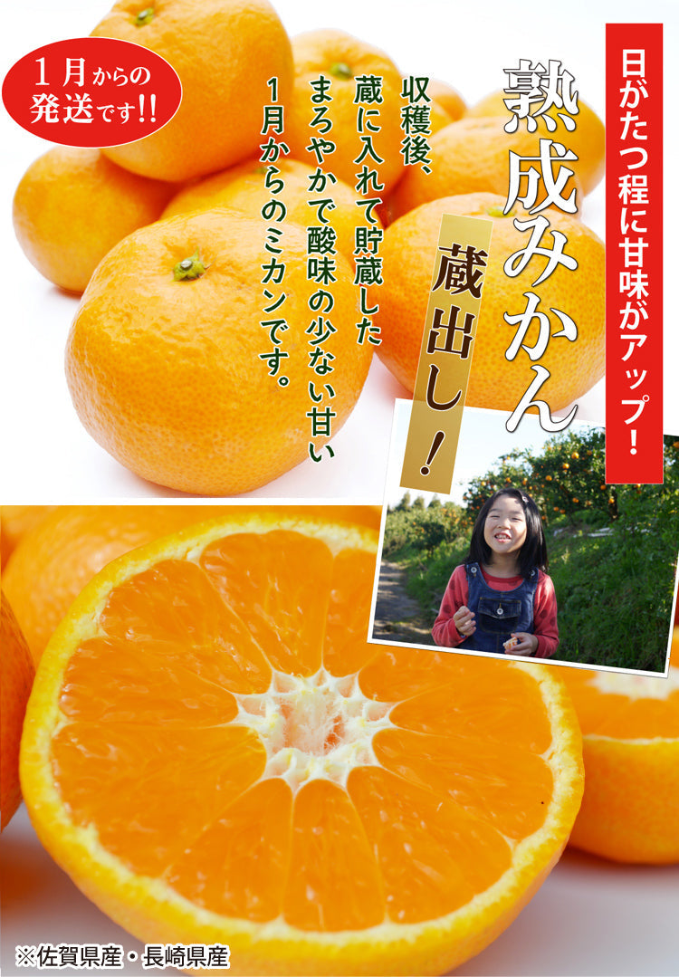 ＜1月からのミカン＞まろやかな味わい★蔵出し！★熟成みかん