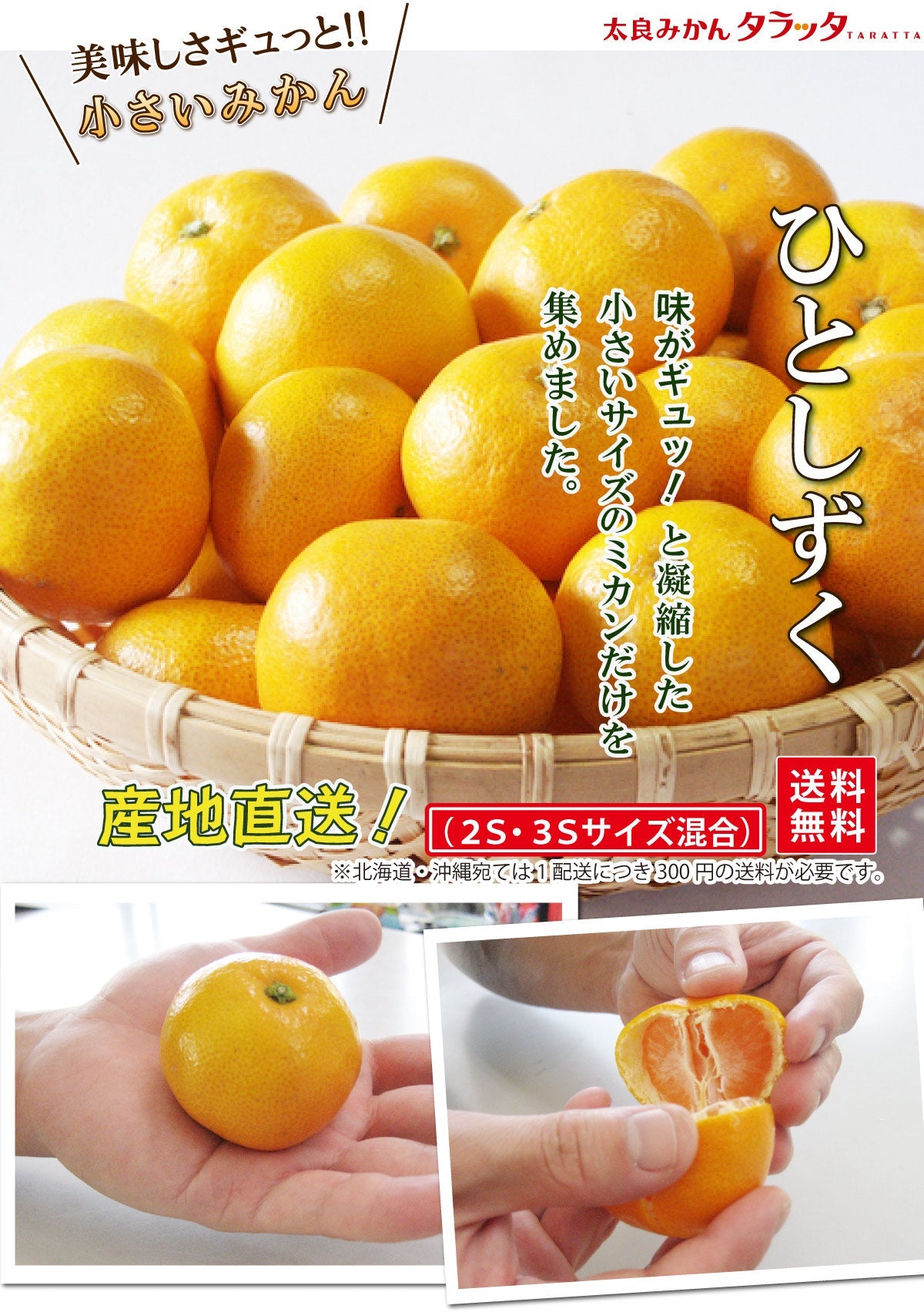 旨さギュっと！濃厚小粒みかん「ひとしずく」