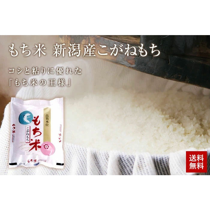もち米 新潟産 こがねもち 900g 令和7年産 送料無料 もち米 抜群の粘り、コシ、風味があります※クロネコゆうパケット、代引き不可