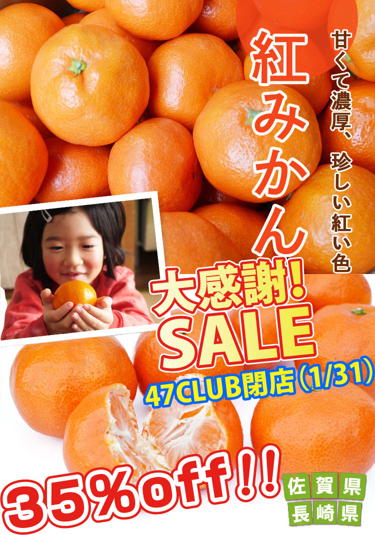 感謝セール】47CLUB閉店セール＜35％OFF＞【希少な赤いミカン】甘