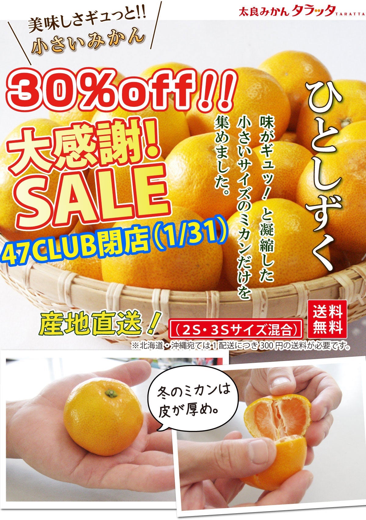 【感謝セール】47CLUB閉店セール＜30％OFF＞旨さギュっと！濃厚小粒みかん「ひとしずく」