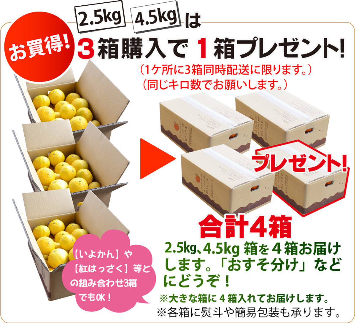 春の香りを運ぶ＜上品な甘さ＞★はるか ★（混合サイズ）