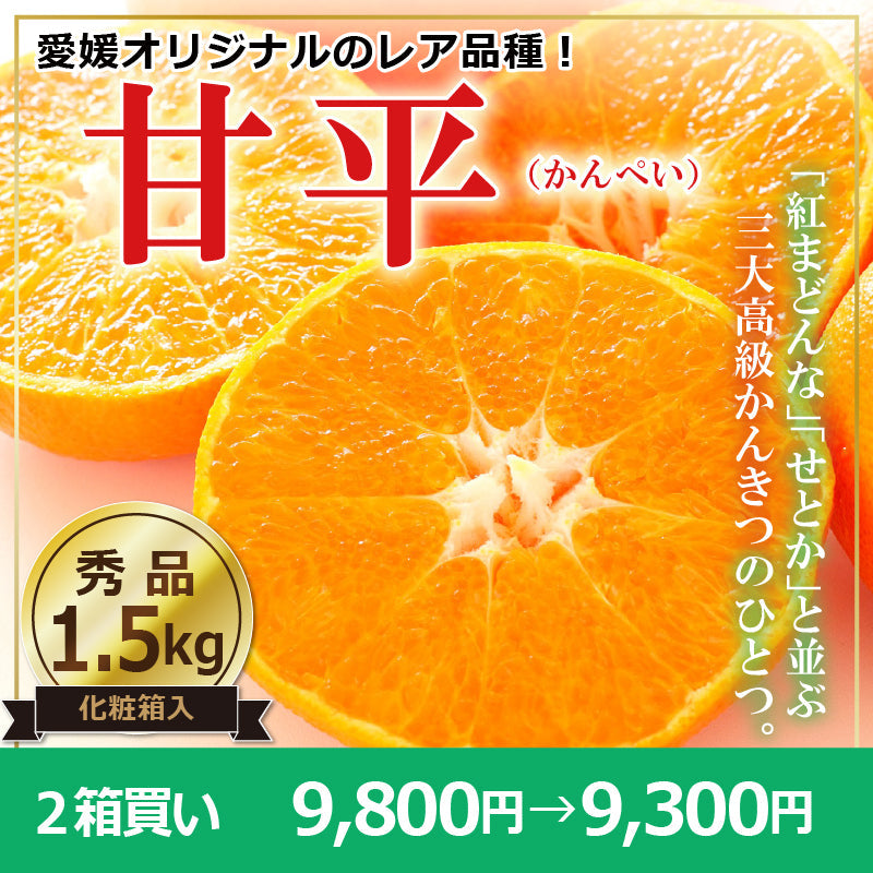 ※予約販売中※【送料無料】高級ブランドかんきつ「甘平(かんぺい)」〈秀品・化粧箱 小〉約1.5kg（2L～3L／5～6玉）※贈答用におすすめな2L・3Lのみをお詰めします！　※発送は１月下旬～２月上旬予定