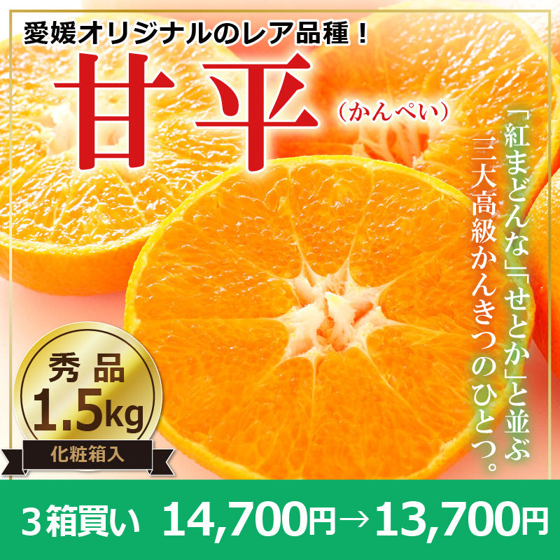 ※予約販売中※【送料無料】高級ブランドかんきつ「甘平(かんぺい)」〈秀品・化粧箱 小〉約1.5kg（2L～3L／5～6玉）※贈答用におすすめな2L・3Lのみをお詰めします！　※発送は１月下旬～２月上旬予定