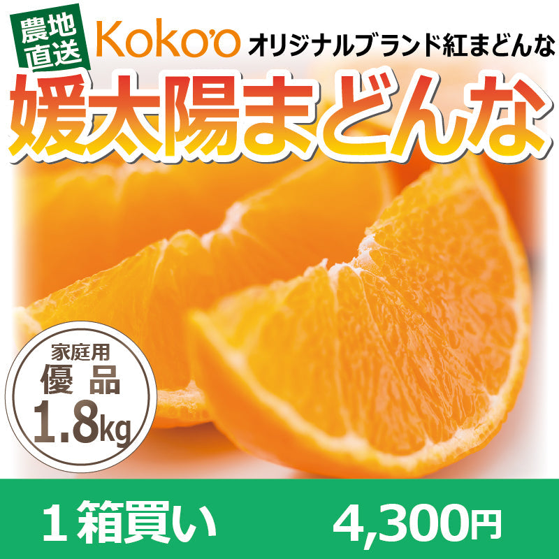 ※今季販売終了※【送料無料】高級ブランドかんきつ「媛太陽まどんな」〈家庭用・優品/小箱〉約1.8kg（L～4L/約4～9玉）