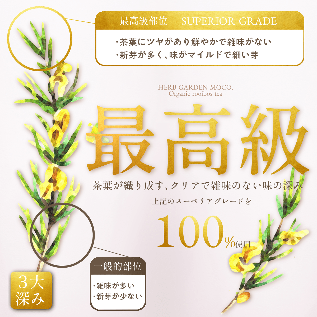 深ルイボスティー・スーペリアグレード30個入【送料無料・クロネコゆうパケット便・日時指定不可】