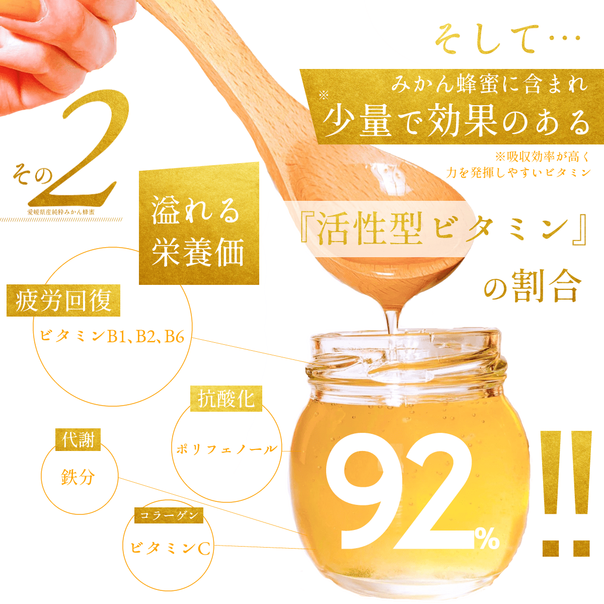 【３個セット】『純粋みかん蜂蜜』黄金色に輝く! 　愛媛のみかん畑で元気なミツバチたちが集めた純粋みかん蜂蜜【送料無料】【北海道・沖縄は別途送料あり】