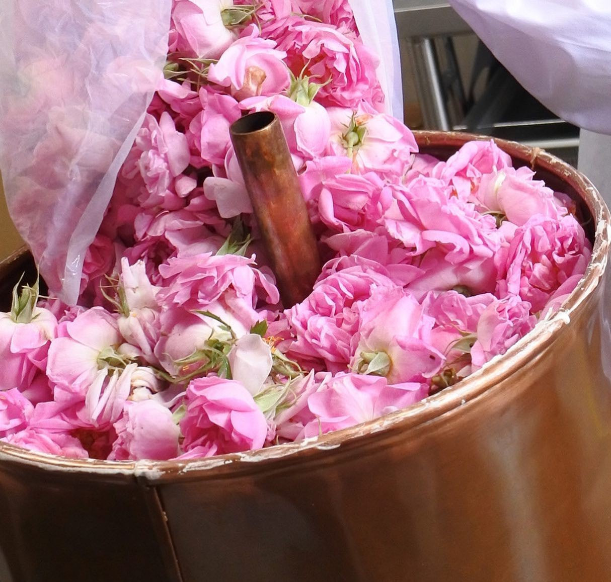 秋田薔薇園産　純粋ローズウォーター