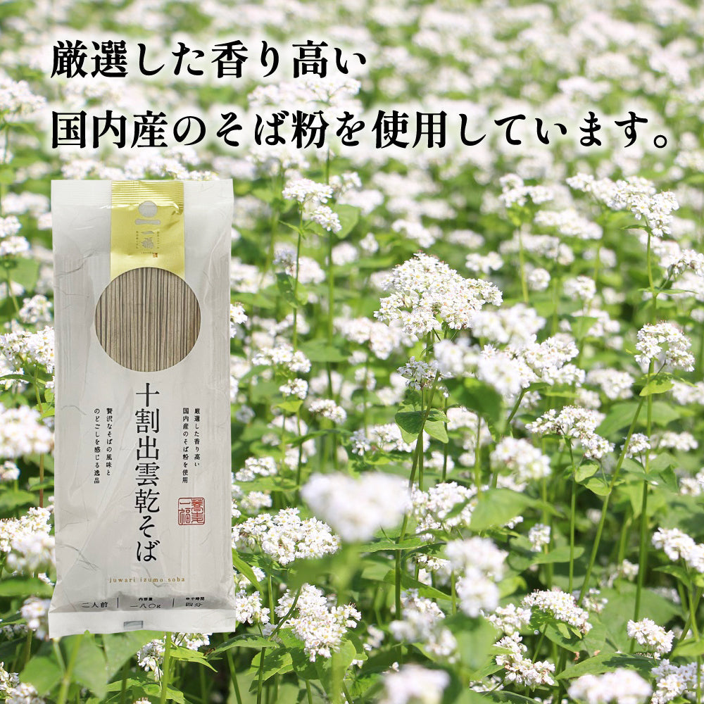 【お試し】【送料込】十割出雲乾そば(そばつゆ付)【メール便】