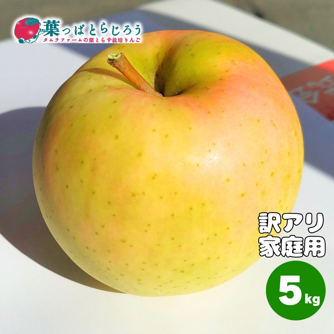 トキりんごご家庭用【送料込】【訳あり】【りんご】【青森県産】【タムラファーム2025】【葉っぱとらじろう】【期間限定】
