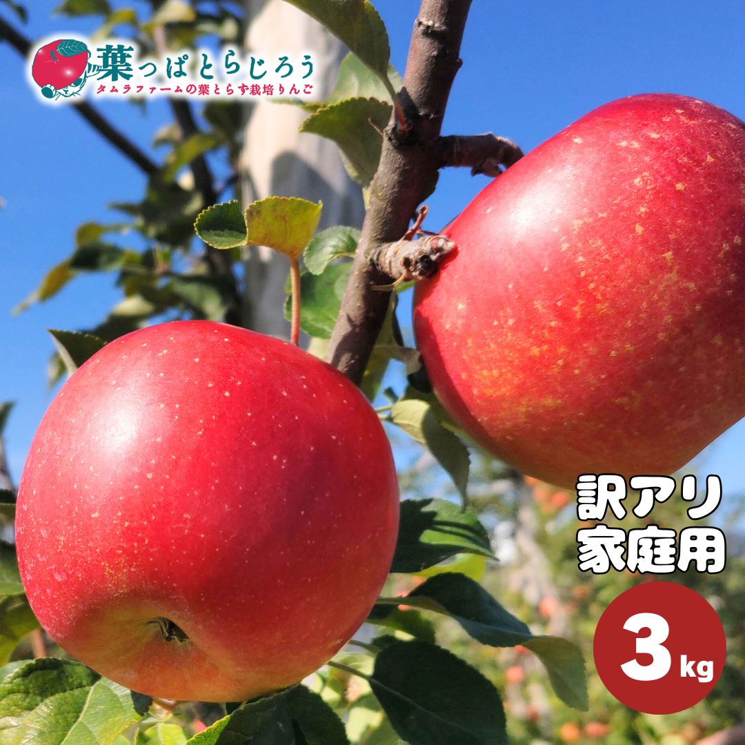シナノスイート【送料込】【訳あり】【りんご】【青森県産】【タムラファーム2025】【葉っぱとらじろう】【期間限定】