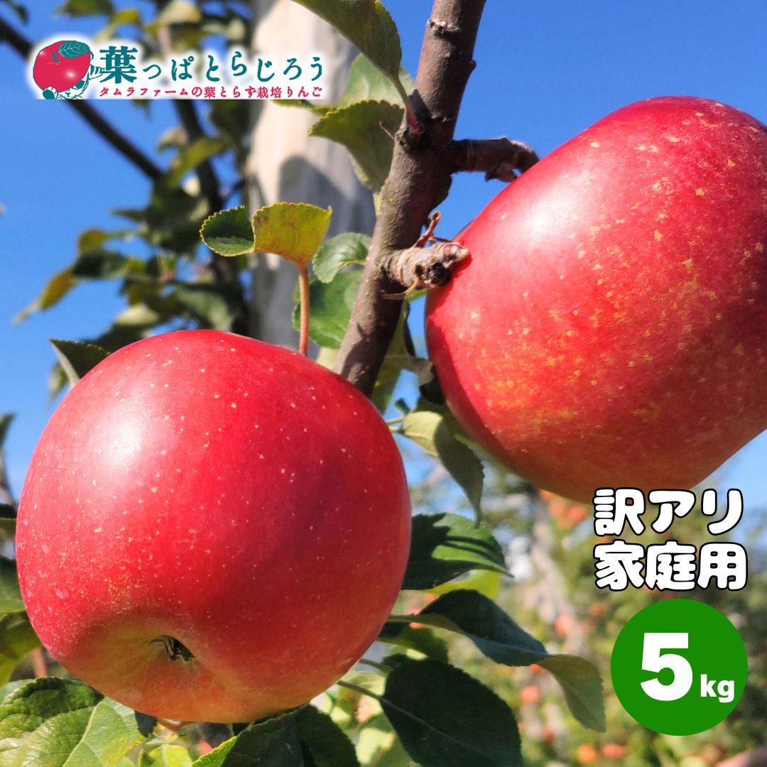 シナノスイート【送料込】【訳あり】【りんご】【青森県産】【タムラファーム2025】【葉っぱとらじろう】【期間限定】