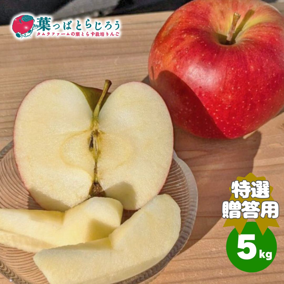 サンジョナゴールドりんご【送料込】【りんご】【青森県産】【葉っぱとらじろう】【期間限定】