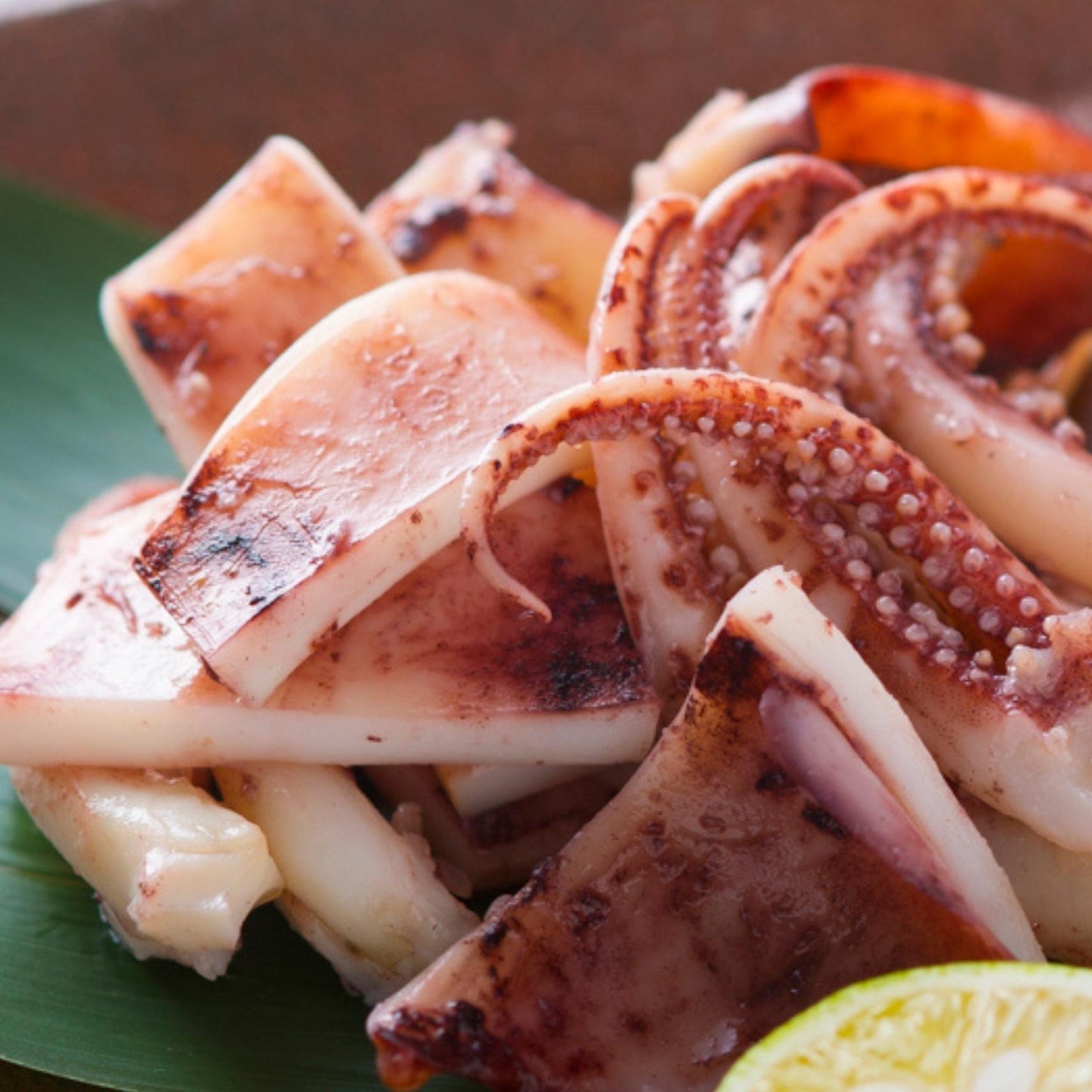 【送料無料】島根県産剣先イカ一夜干し　5枚セット