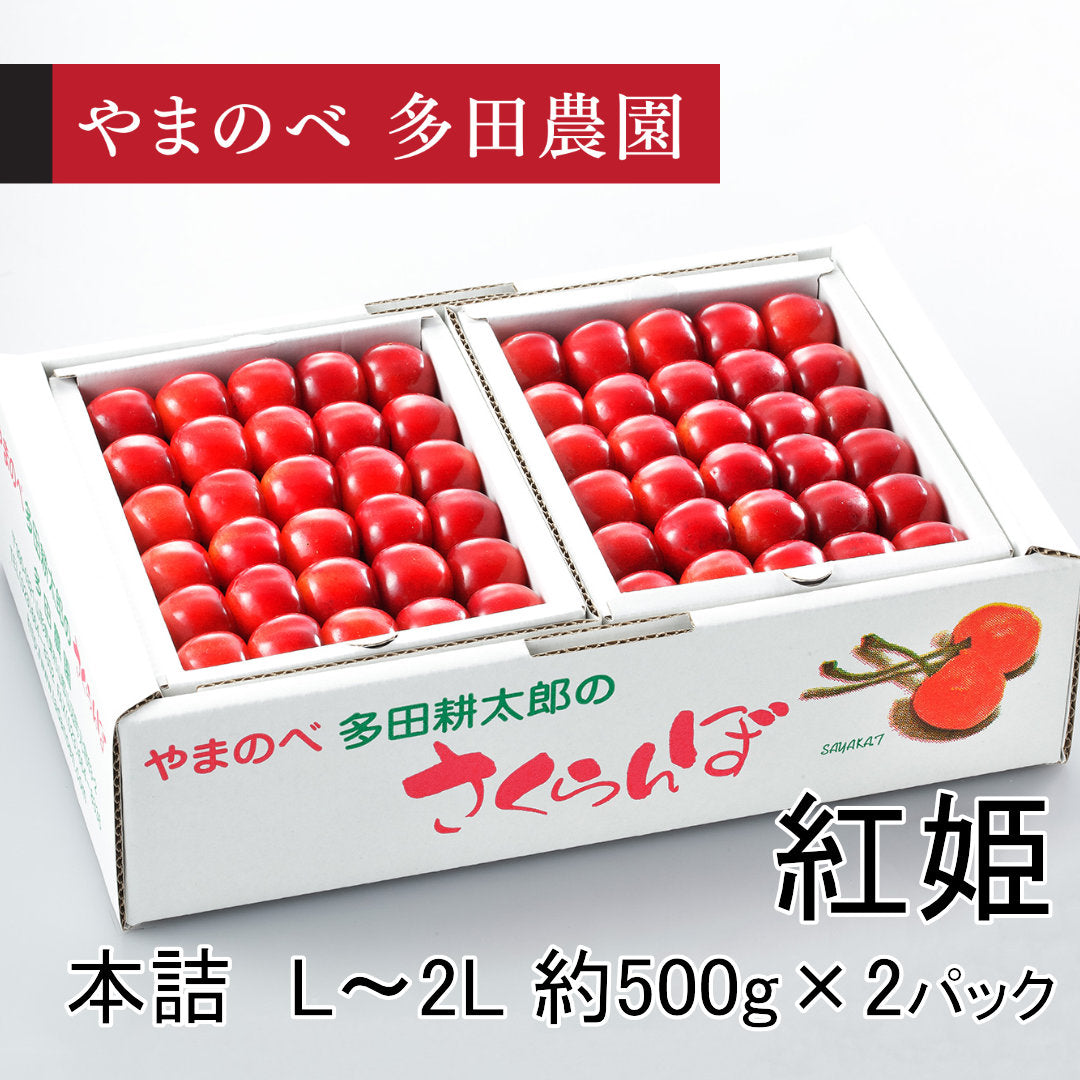 真夏のさくらんぼ「紅姫（べにひめ）」（L～2Lサイズ 本詰）約500g×2　先行予約受付中【7月20日～8月10日にお届け】
