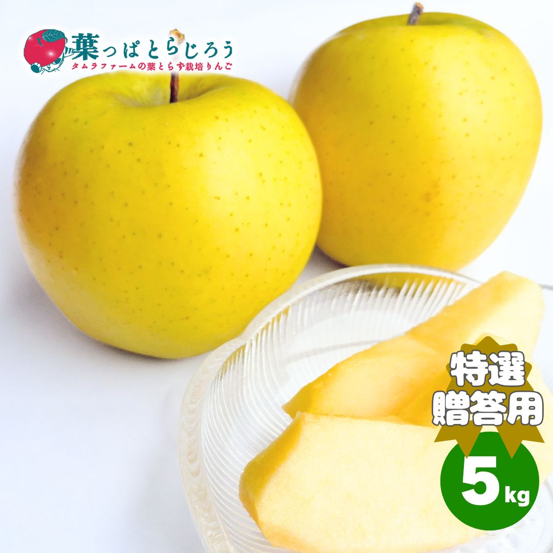 シナノゴールド【送料込】【12月上旬発送予定】【葉っぱとらじろう】【お歳暮】【りんご】【青森県産】【タムラファーム農園直送】【期間限定】