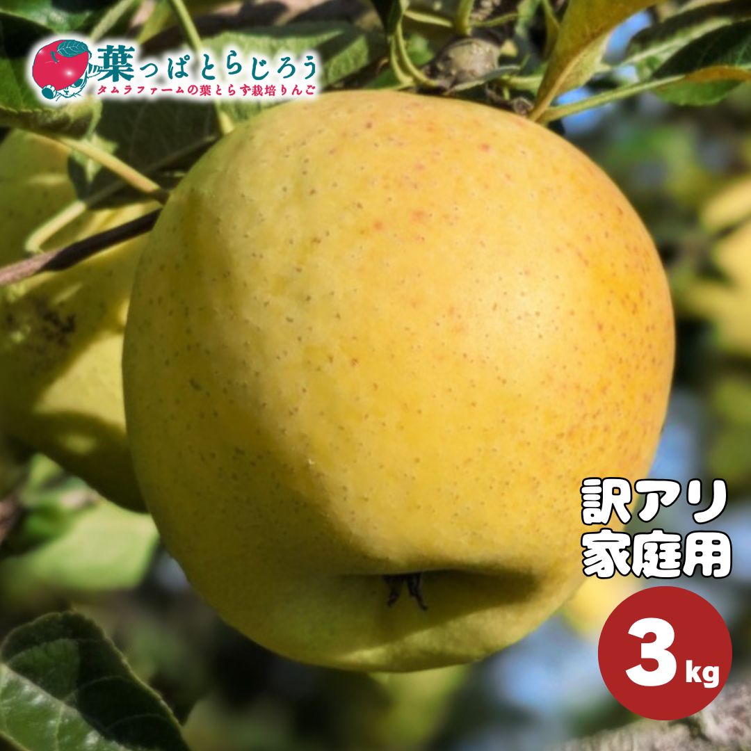 星の金貨りんご【送料込】【りんご】【青森県産】【タムラファーム2025】【葉っぱとらじろう】【期間限定】