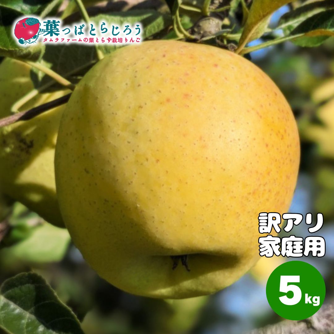 星の金貨りんご【送料込】【りんご】【青森県産】【タムラファーム2025】【葉っぱとらじろう】【期間限定】