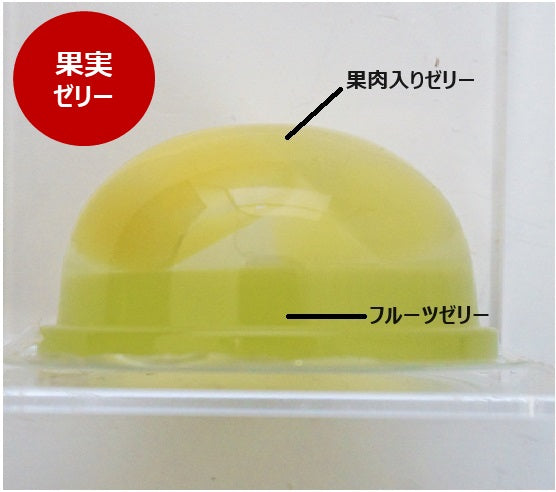 【神奈川】アソートゼリー 8個入 葉山 土産 ギフト 高級 贈答 プレゼント ゼリー 【お中元】【スイーツ・洋菓子】