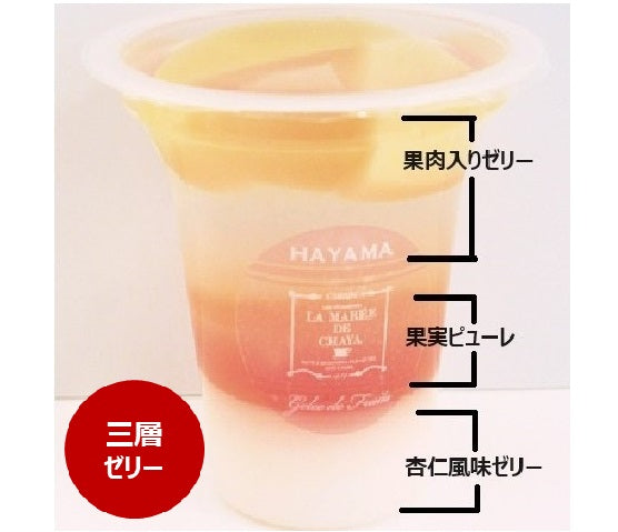 【神奈川】アソートゼリー 8個入 葉山 土産 ギフト 高級 贈答 プレゼント ゼリー 【お中元】【スイーツ・洋菓子】