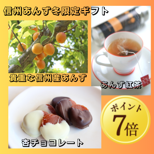 【12月7日ポイント7倍】【期間限定11月～3月販売】【杏専門店が作る大人の杏チョコレート】（ホワイト＆ビター）各１箱（１箱６粒入り）あんず紅茶5ｐ★ギフトBOX【冬ギフト2024】【スイーツ】