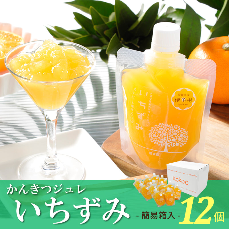 【お中元早割】かんきつジュレ「いちずみ」（12個セット）【送料無料】