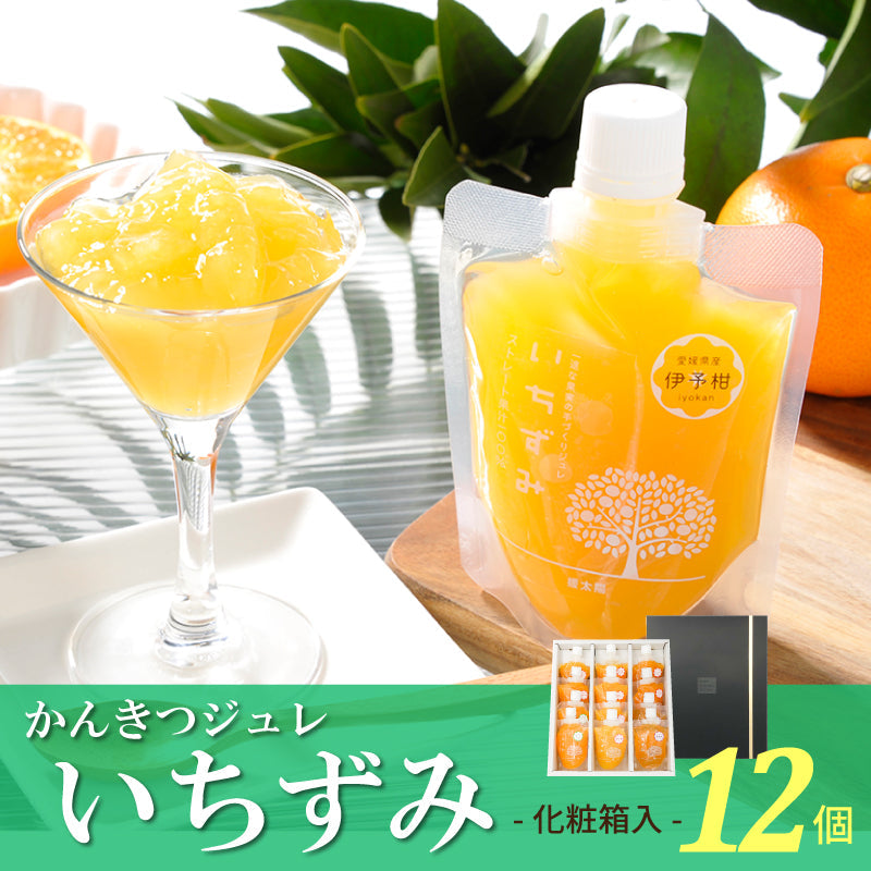 かんきつジュレ「いちずみ」(12個セット・化粧箱入）