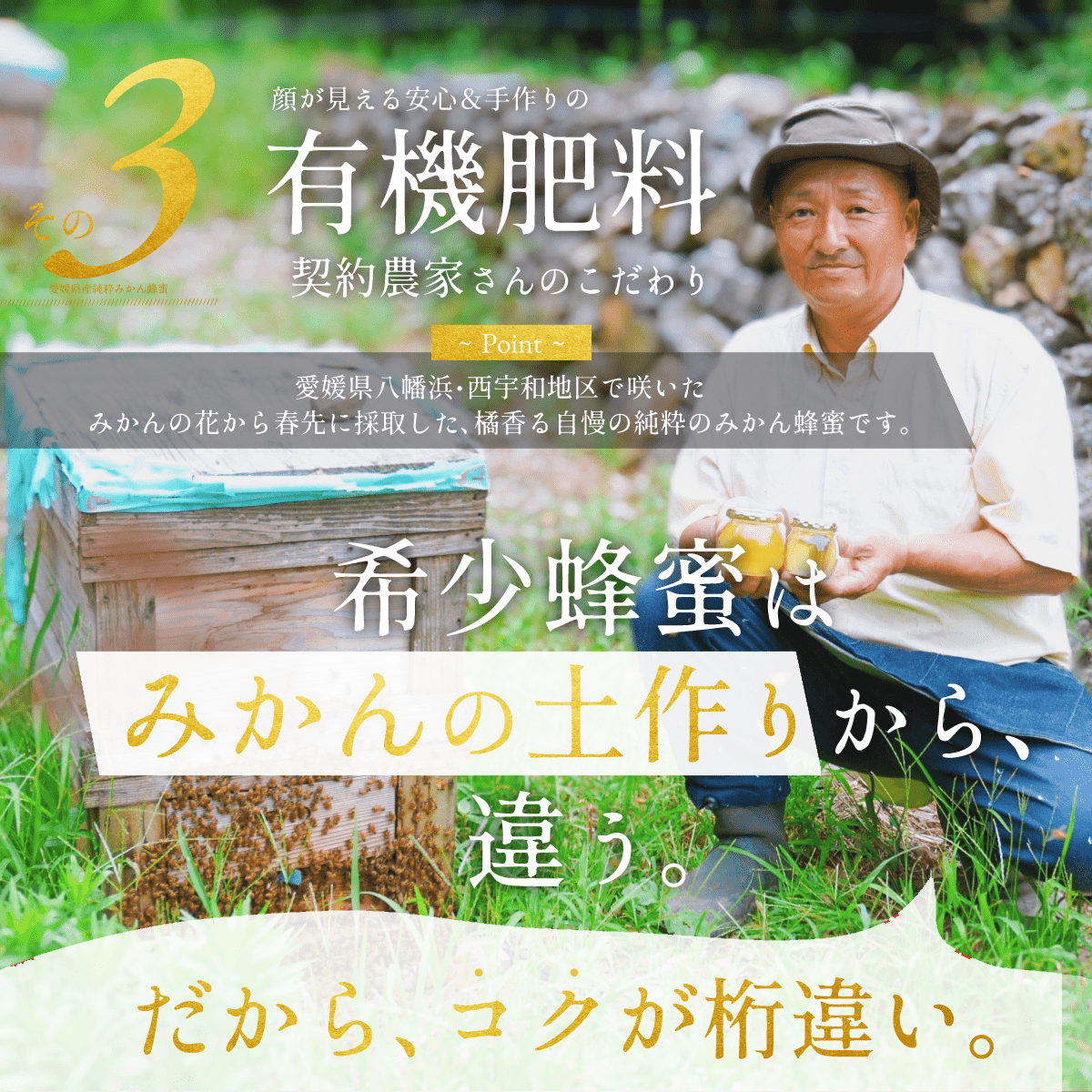 【３個セット】『純粋みかん蜂蜜』黄金色に輝く! 　愛媛のみかん畑で元気なミツバチたちが集めた純粋みかん蜂蜜【送料無料】【北海道・沖縄は別途送料あり】
