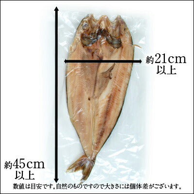 北海道 礼文島産 紅法華(べにほっけ) ほっけ開き 501-700g ふっくら