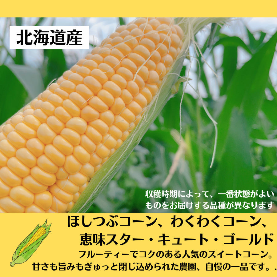【完売御礼】＼朝どれ産直！／定番・芳醇な味わいの黄色とうもろこし 10本セット【送料込】