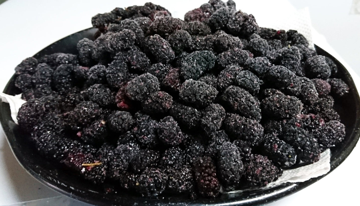 群馬県下仁田産 有機 マルベリー【桑の実】（1㎏）【数量限定】【有機JAS】有機栽培の完熟桑ベリーを冷凍でお届けします。