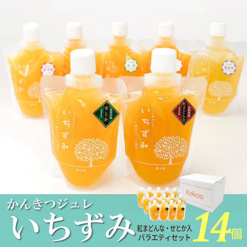 かんきつジュレ「いちずみ」　紅まどんな・せとか入り（14個セット）【送料無料】