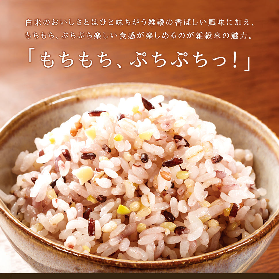 九州の十五穀米 炊き込み用（400g～1kg） 【送料無料】【レトルト】【常温長期保存】