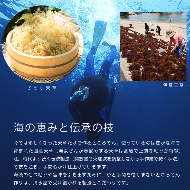 箱入りところてん１２個入り（酢醤油）