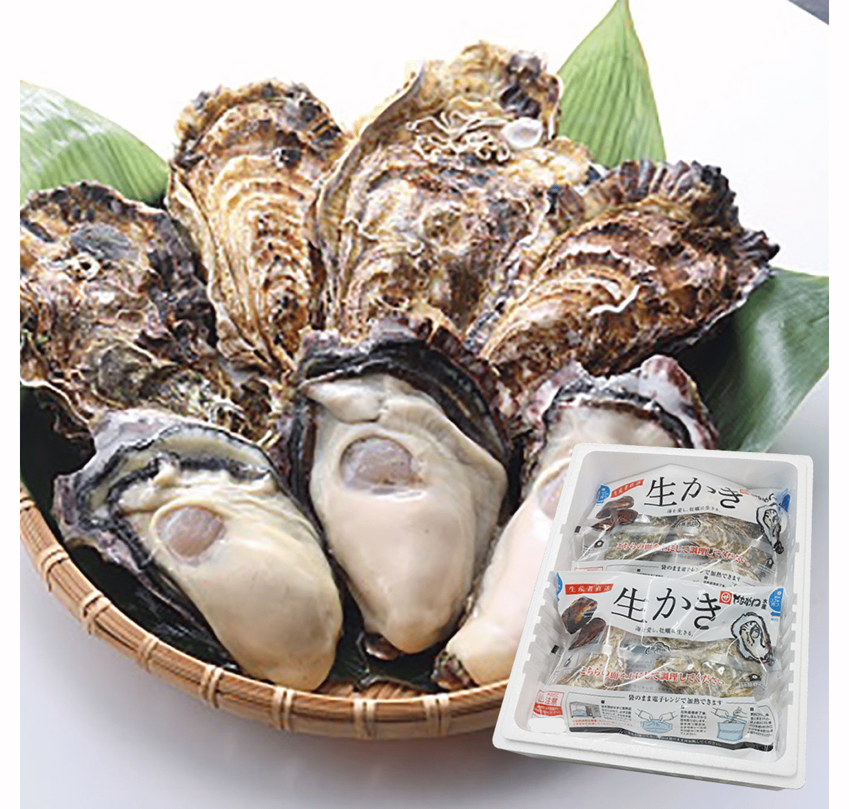 【瞬間冷凍・電子レンジで簡単調理！】広島県"清浄海域"能美島(江田島)産・袋入り殻付き牡蠣　16個（4個入り×4袋）