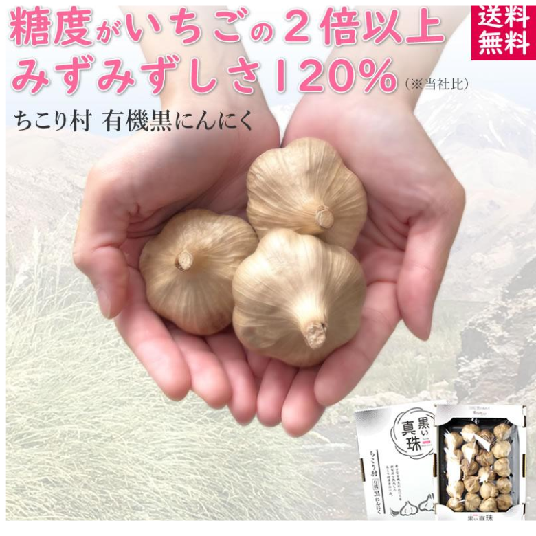 ちこり村の黒い真珠 プチサイズ 小玉 20玉  黒にんにく