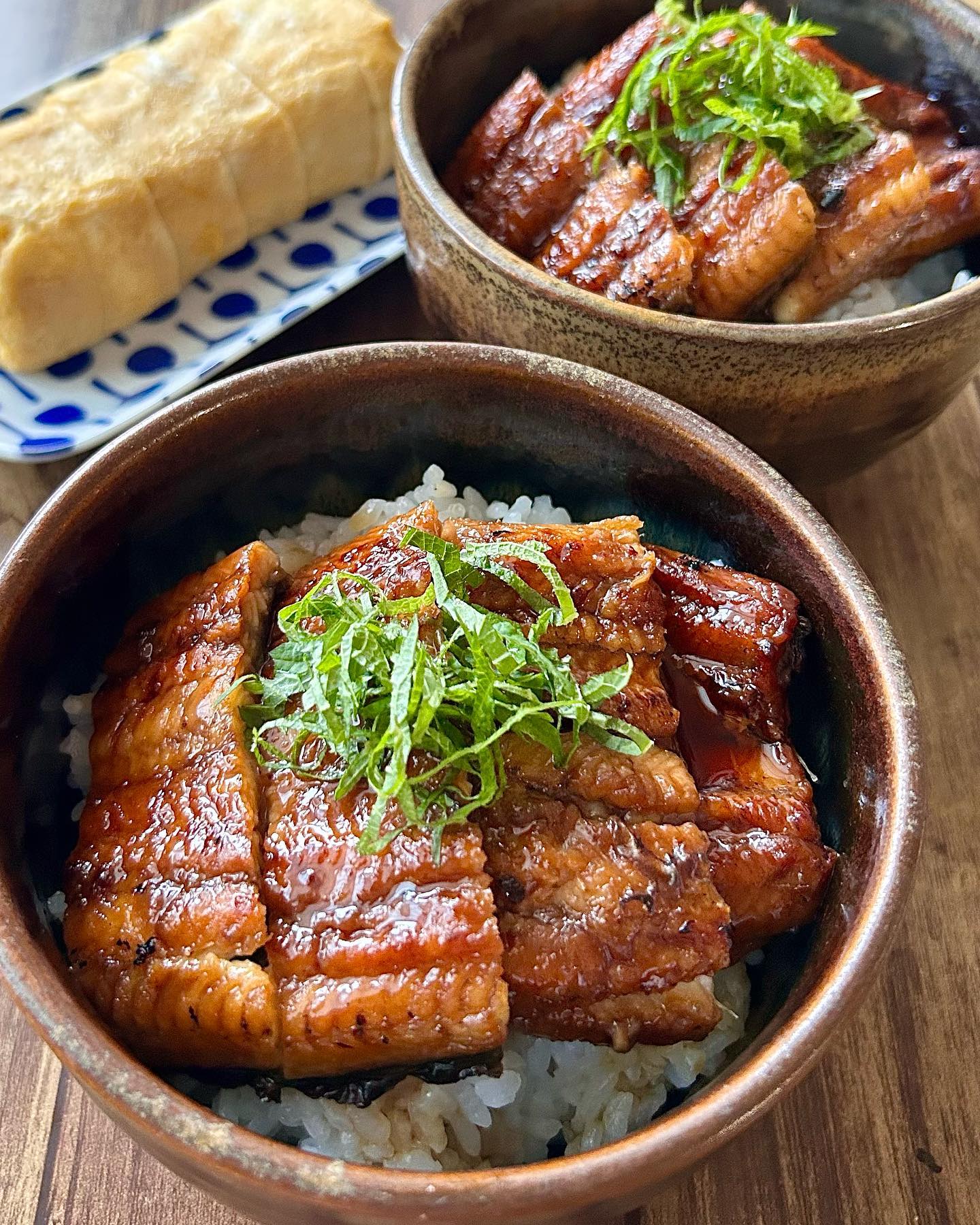 鹿児島県産うなぎ蒲焼　大２尾（送料込み）