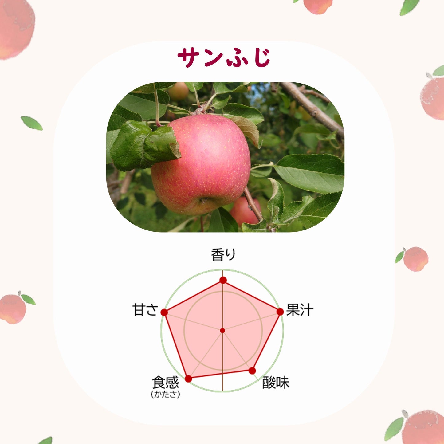 サンふじご家庭用中小玉３ｋｇ【送料込】【2025年度第8便】【期間限定】