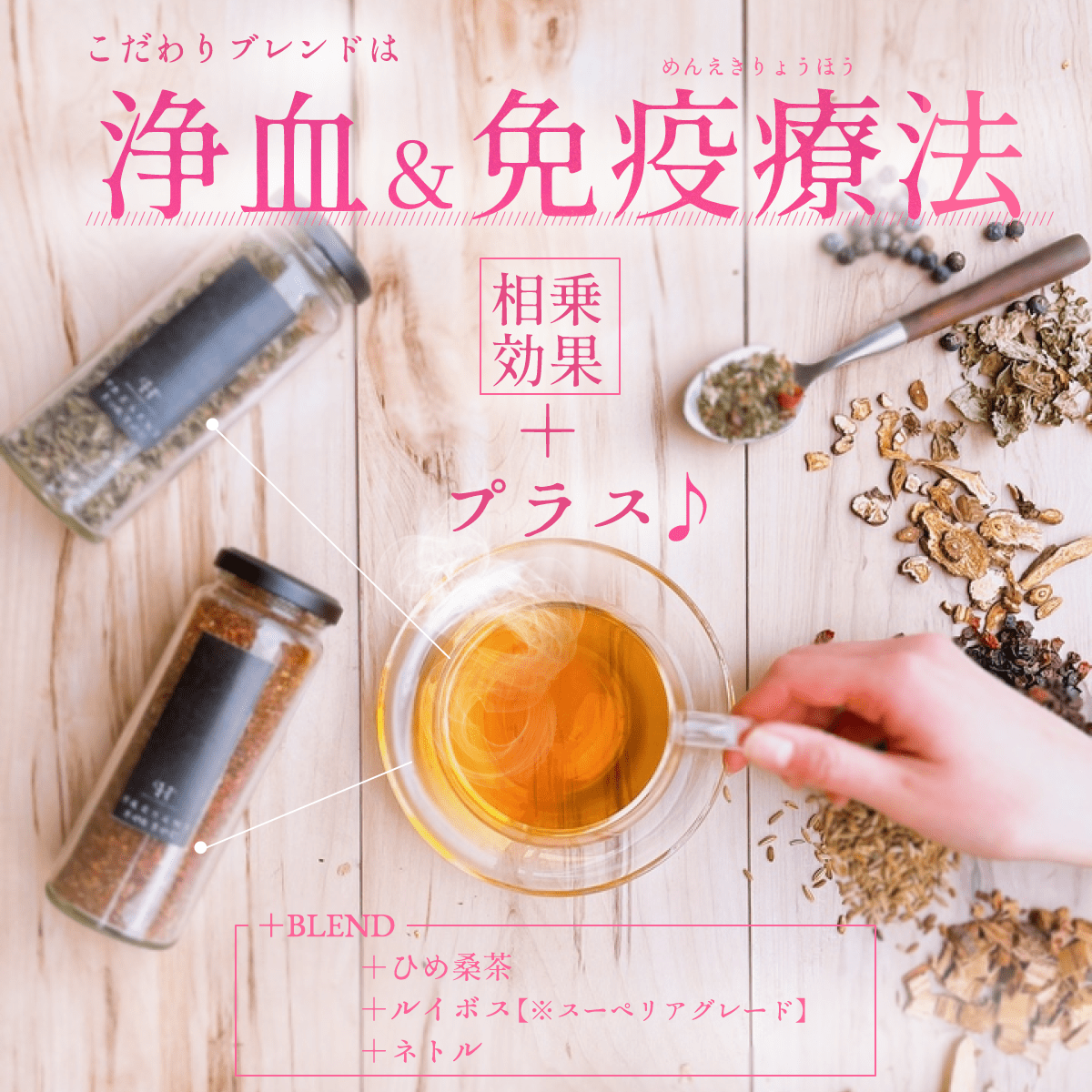 【春ひめ桑茶1ヶ月分(30個入)・送料無料】 ルイボス　ネトル　花粉対策