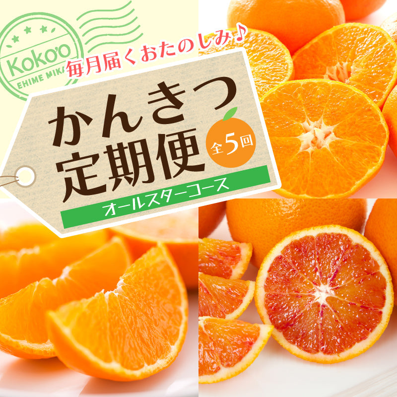 【送料無料】お得！旬の柑橘オールスター定期便【選べる秀品・訳あり（全５回）】※お楽しみプチプレゼント付き