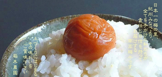 紀州みなべ南高梅干し　一貫づくり・うす味1kg　