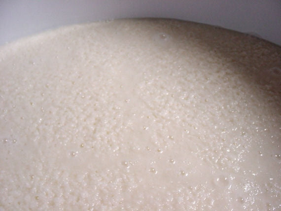 吟醸酒粕（熟成タイプ）　4kg