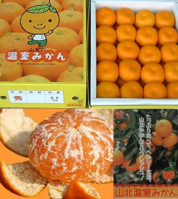 【お中元2024】【フルーツ】みかん　高知県「山北産温室栽培ハウスみかん」〇赤Ｌサイズ（2.5ｋｇ）　★送料無料！甘さ抜群！発送は、５月下旬から。